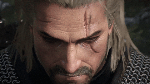 . 2 witcher 3 GIF